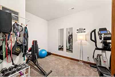 21 Hummingbird Court, Bailey, CO 80421 - Photo 31