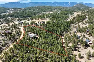 21 Hummingbird Ct, Bailey, CO 80421 - Photo 49