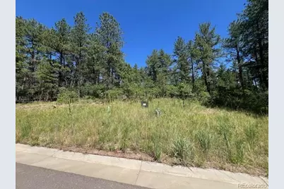 773 Copper Fox Place, Larkspur, CO 80118 - Photo 5