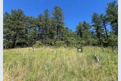 773 Copper Fox Place, Larkspur, CO 80118 - Photo 1