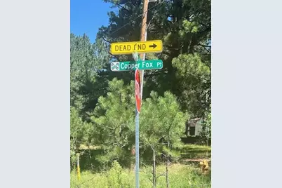 773 Copper Fox Place, Larkspur, CO 80118 - Photo 9