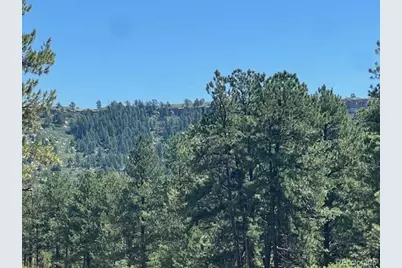 773 Copper Fox Place, Larkspur, CO 80118 - Photo 3