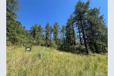 773 Copper Fox Place, Larkspur, CO 80118 - Photo 7