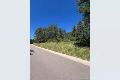 773 Copper Fox Place, Larkspur, CO 80118 - Photo 13