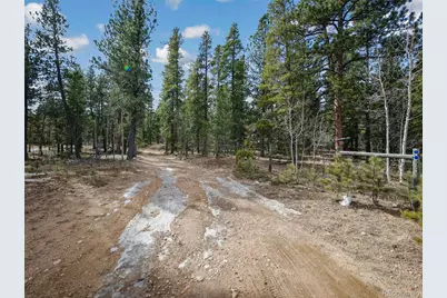 89 Prospectors Way, Bailey, CO 80421 - Photo 29