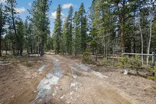 89 Prospectors Way, Bailey, CO 80421 - Photo 29