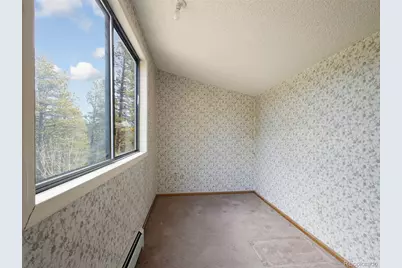 89 Prospectors Way, Bailey, CO 80421 - Photo 19