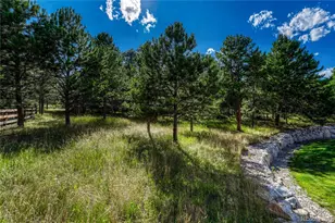 1103 Greenland Forest Dr, Monument, CO 80132 - Photo 45