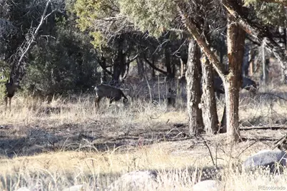 000 Holiday Way, Crestone, CO 81131 - Photo 17