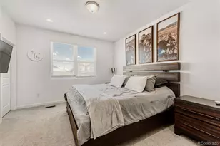 7934 Slate River St, Littleton, CO 80125 - Photo 7