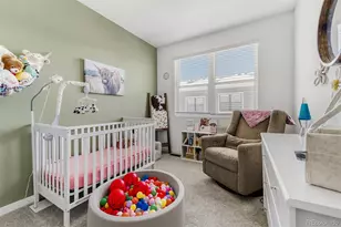 7934 Slate River St, Littleton, CO 80125 - Photo 11