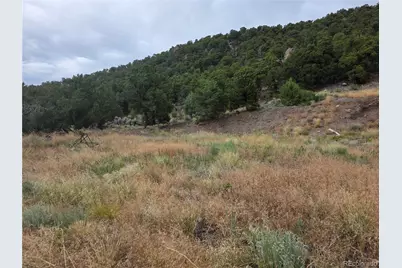 0 Joy Road, San Luis, CO 81152 - Photo 5