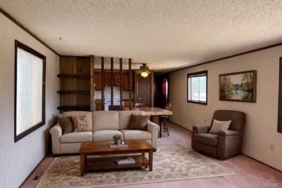 29600 County Road 353, Buena Vista, CO 81211 - Photo 3