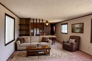 29600 County Road 353, Buena Vista, CO 81211 - Photo 3