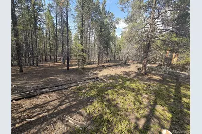 455 Spruce Drive, Leadville, CO 80461 - Photo 3