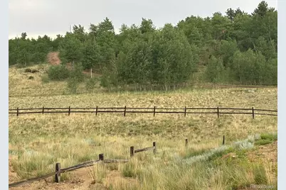 1310 McDowell Drive, Como, CO 80432 - Photo 3