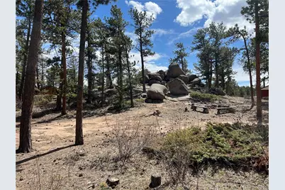 90 Letitia Drive, Red Feather Lakes, CO 80545 - Photo 3