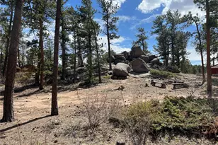 90 Letitia Dr, Red Feather Lakes, CO 80545 - Photo 3