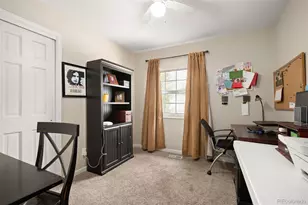 6690 S Locust Way, Centennial, CO 80111 - Photo 27