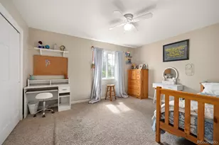 6690 S Locust Way, Centennial, CO 80111 - Photo 25