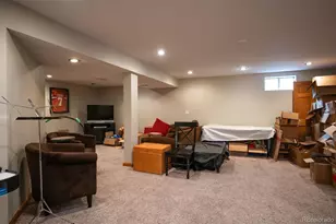 6690 S Locust Way, Centennial, CO 80111 - Photo 29