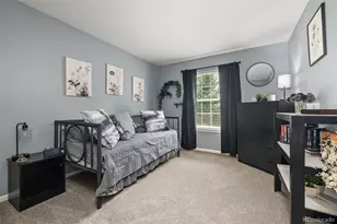 3550 Mallard Dr, Highlands Ranch, CO 80126 - Photo 23