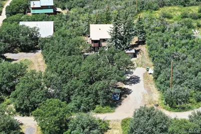 15699 Aspen Glenn Lane, Collbran, CO 81624 - Photo 3