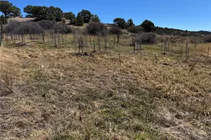 16103 US Hwy 285, Salida, CO 81201 - Photo 35
