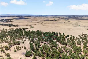 32901 Ridge Rd, Ramah, CO 80832 - Photo 13