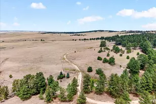 32901 Ridge Rd, Ramah, CO 80832 - Photo 9