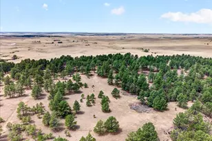 32901 Ridge Rd, Ramah, CO 80832 - Photo 25