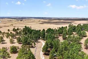 32901 Ridge Rd, Ramah, CO 80832 - Photo 7