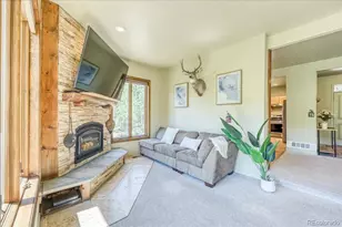 234 Peterson Dr, Fairplay, CO 80440 - Photo 15