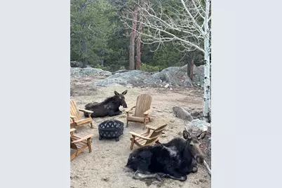 31911 Warrens Road, Golden, CO 80403 - Photo 29