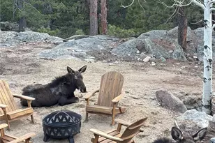 31911 Warrens Rd, Golden, CO 80403 - Photo 29