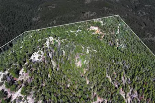 31911 Warrens Rd, Golden, CO 80403 - Photo 41