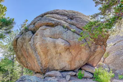 31911 Warrens Road, Golden, CO 80403 - Photo 7