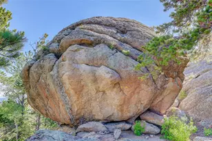 31911 Warrens Rd, Golden, CO 80403 - Photo 7