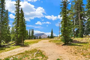 1167 Mountain View Dr, Fairplay, CO 80440 - Photo 39