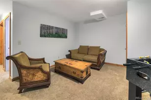 1167 Mountain View Dr, Fairplay, CO 80440 - Photo 29