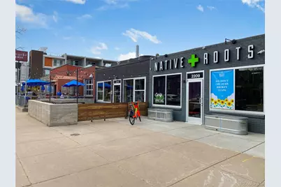 3239 Vallejo Street, Denver, CO 80211 - Photo 47