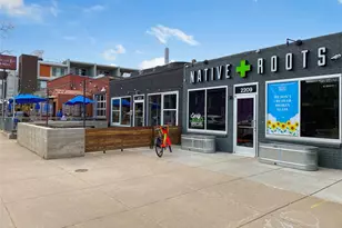 3239 Vallejo St, Denver, CO 80211 - Photo 47