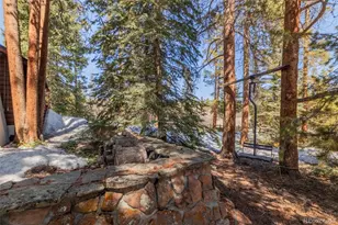 337 Gcr 6482, Grand Lake, CO 80447 - Photo 19