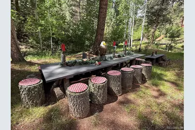 9716 Canon Drive, Sedalia, CO 80135 - Photo 41