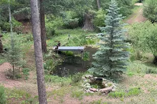 9716 Canon Dr, Sedalia, CO 80135 - Photo 43