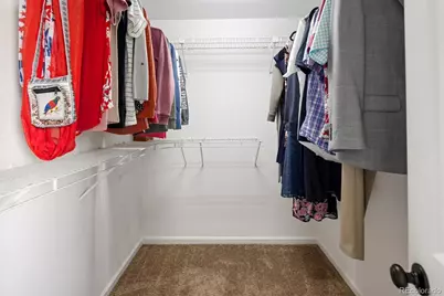 10580 Wintersweet Court, Parker, CO 80134 - Photo 29