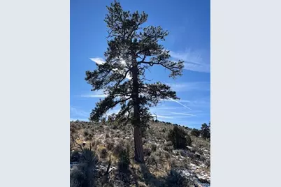 Lot 4554 Clausen Road, Fort Garland, CO 81133 - Photo 11