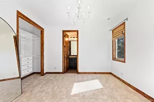 9316 Vis Hl Wy, Lone Tree, CO 80124 - Photo 29