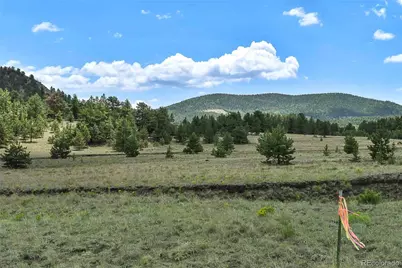 376 Copeland Road, Guffey, CO 80820 - Photo 27