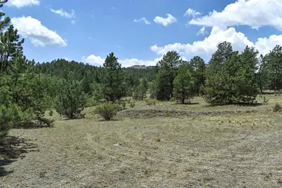376 Copeland Road, Guffey, CO 80820 - Photo 35